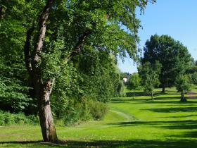 Müschens Rosenapfel, Kaarz