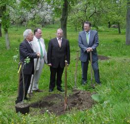 Baumpflanzung in Tellow