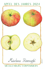 Müschens Rosenapfel - Apfel des Jahres 2024
