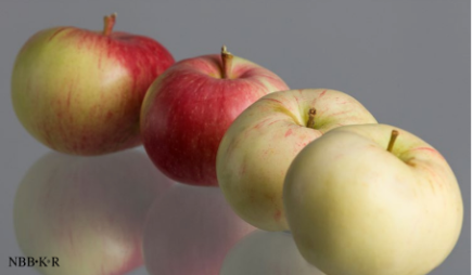 Karbenning Apfel